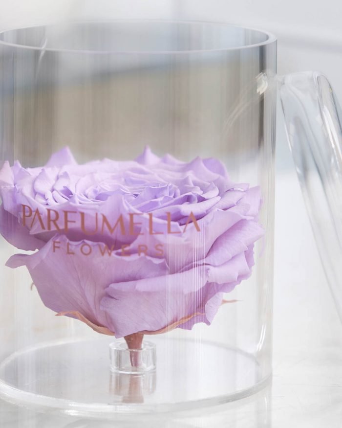 Eternal Purple Rose on Cylinder Acrylic