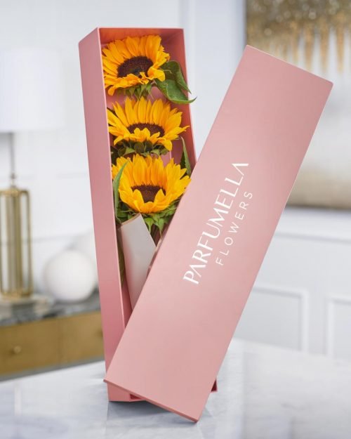 Sunflower in Pink Box