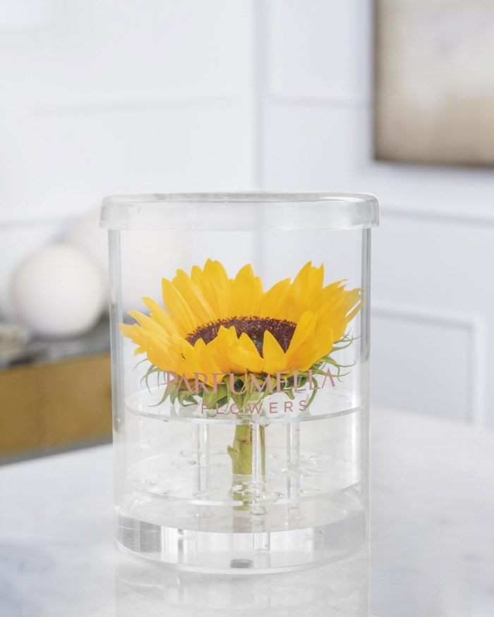 Sunflower on Cylinder Acrylic