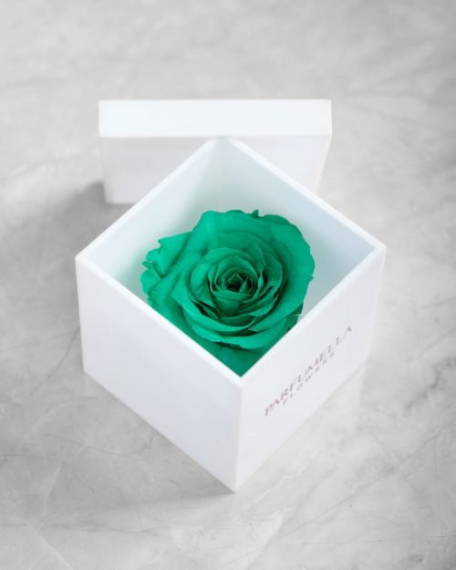 Green Rose on Acrylic Box