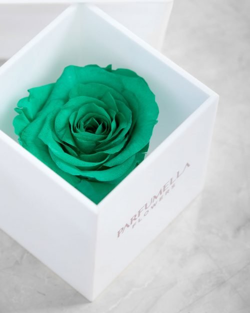 Green Rose on Acrylic Box