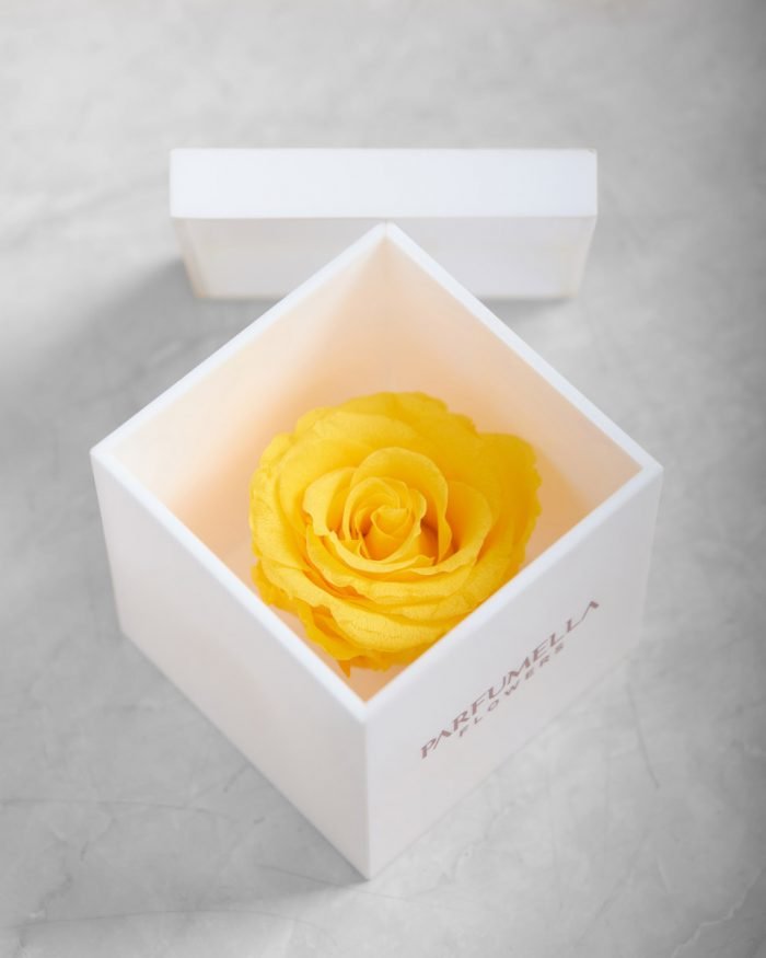 Yellow Beauty on Acrylic Box