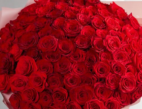 Valentine’s Day Flower Gift Ideas for Your Love