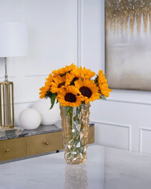 Oh My Sunflowers