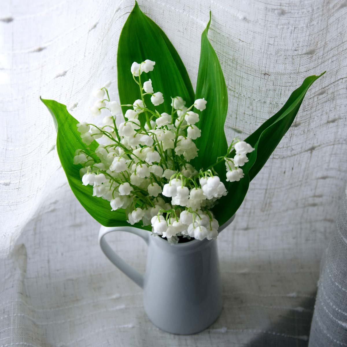 May Birthday Flower – Lily of the Valley