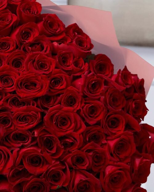 250 Red Roses
